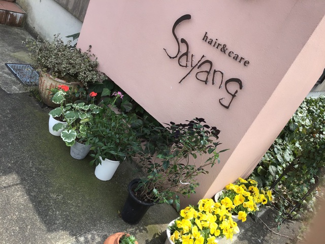 5月のお知らせ