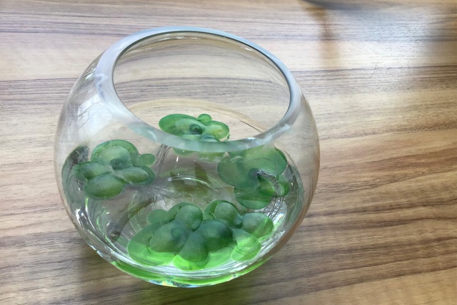 7月のお知らせ